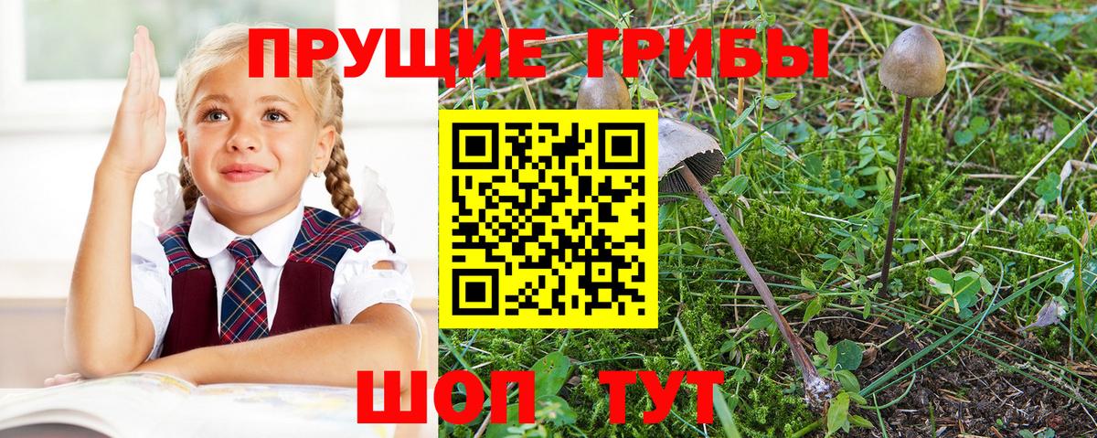Галлюциногенные грибы мухоморы  Вход с VPN  купить наркоту  Верхняя Пышма 