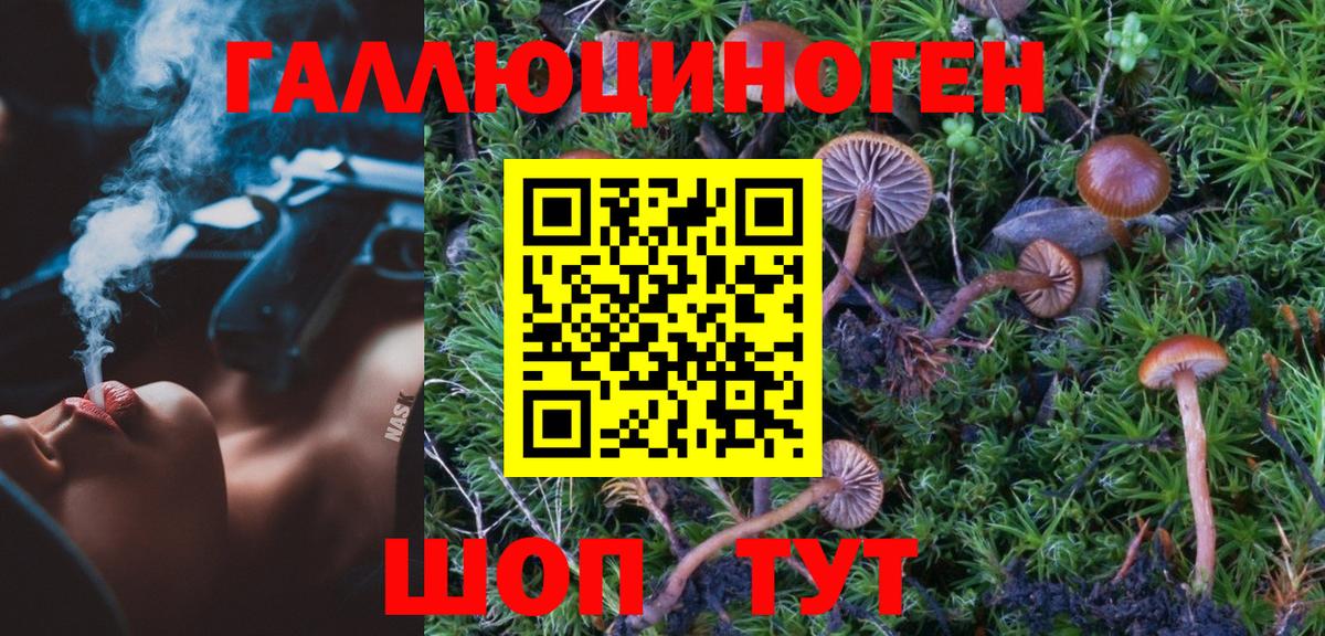 Галлюциногенные грибы мухоморы Верхняя Пышма